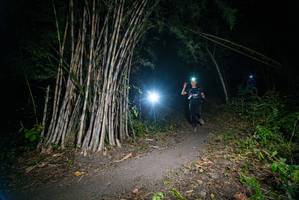 BIB: 
                            <button type="button" onclick="openModal(19398948)" class="btn btn-primary btn-sm float-right btn-popup" data-toggle="modal" data-target=".modal-high-quality">
                        <i class="fas fa-shopping-cart"></i> Add to Cart
                    </button>
                                            <button type="button" onclick="isThisMe(19398948, true)" class="btn btn-success btn-sm float-right btn-popup btn-isme hidden" data-toggle="tooltip" data-placement="bottom" title="นี่คือรูปของคุณใช่ไหม คลิกที่นี่เพื่อเอาเข้าอัลบั้ม">
                        <i class="fas fa-plus"></i> Add to album
                    </button>
                    <button type="button" onclick="isThisMe(19398948, false)" class="btn btn-warning btn-sm float-right btn-popup btn-isnotme hidden">
                        <i class="fas fa-ban"></i> Remove from album
                    </button>